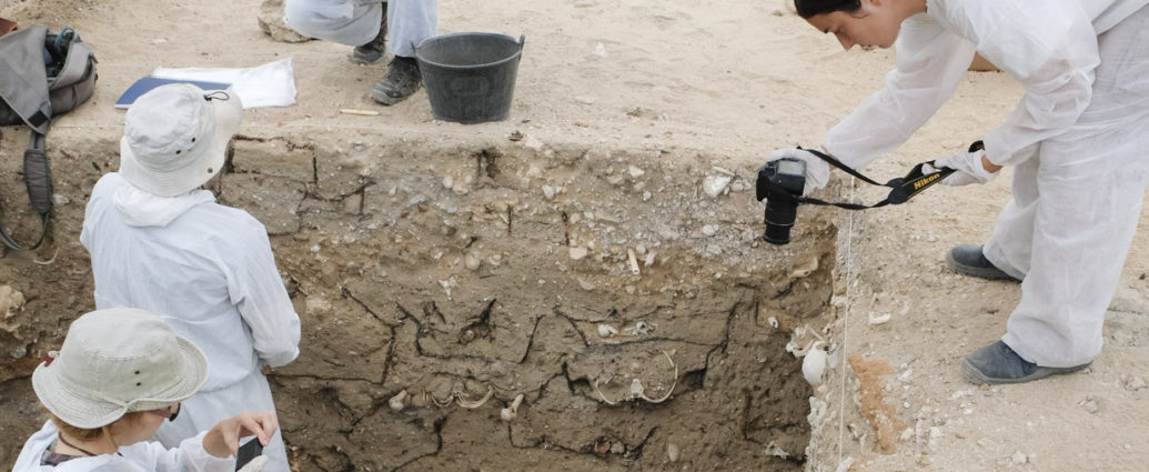 Exhumación de una fosa en el cementerio de San José de Cádiz.
