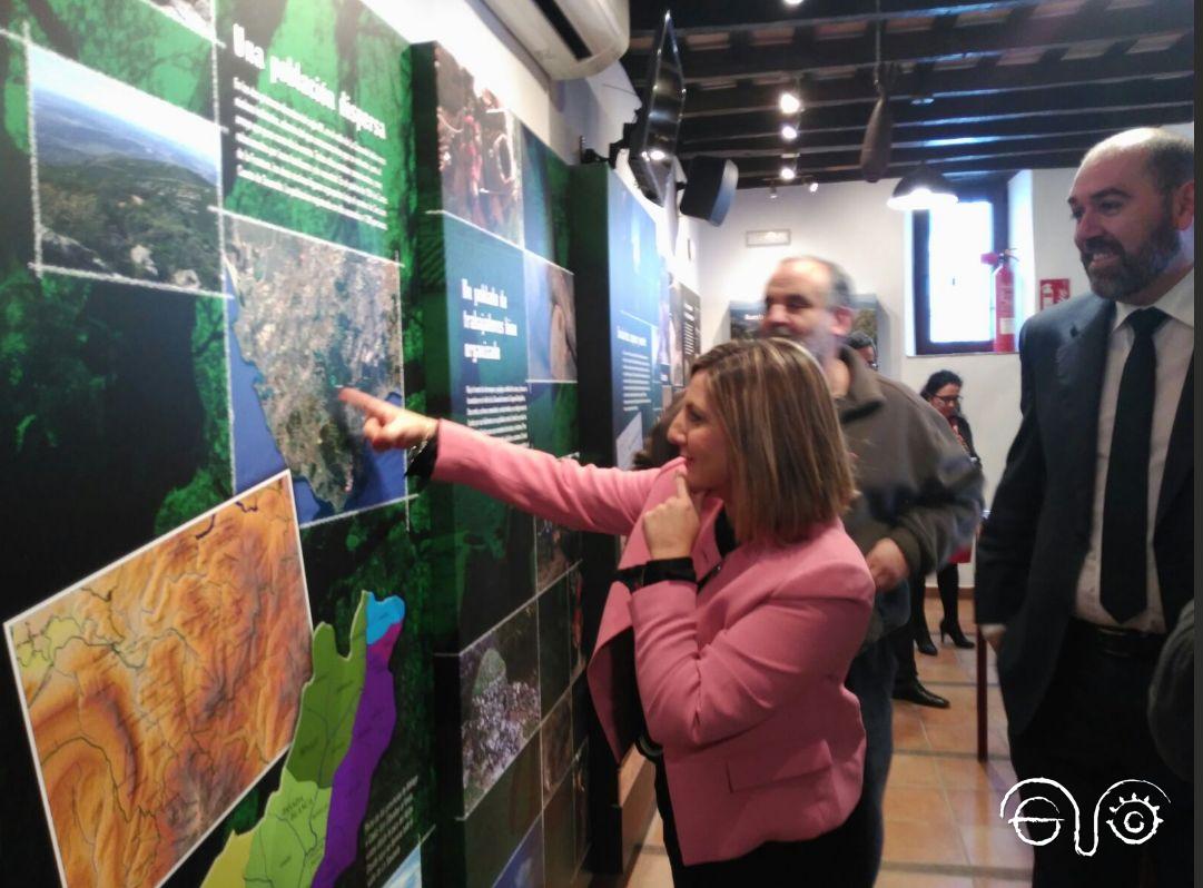 La presidenta de la Diputación de Cádiz, Irene García, y acompañantes, ante uno de los paneles de la exposición permanente.