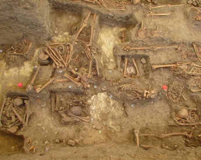 Fosa común del cementerio de Jimena de la Frontera.