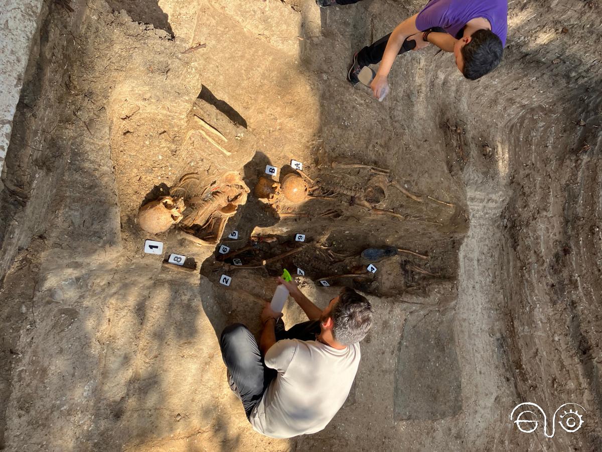 Trabajos de exhumación en una fosa comùn de Villamartín.