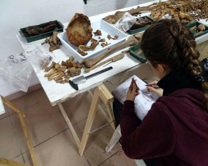 Trabajo de laboratorio en el cementerio de Villamartín.