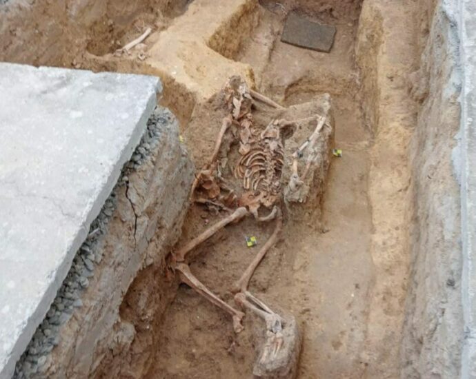 Los retos de la persona fusilada hallados en el cementerio de San Roque.