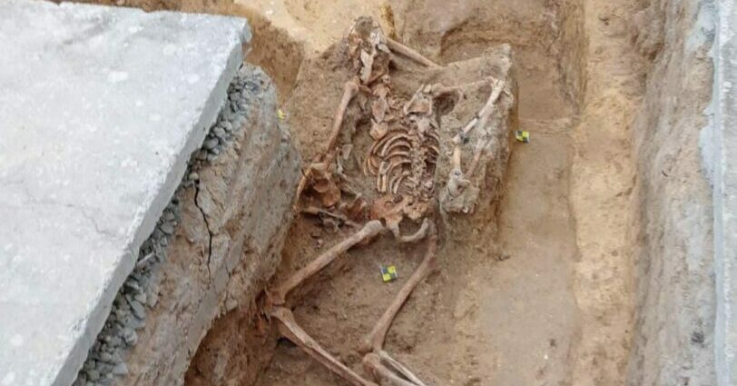 Los retos de la persona fusilada hallados en el cementerio de San Roque.
